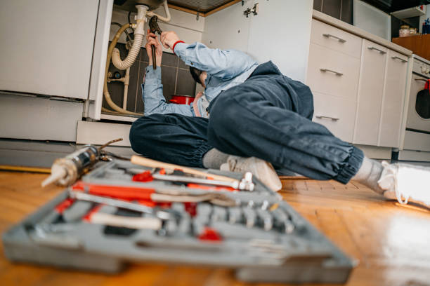 Best Affordable Plumbing Services  in Reese, MI