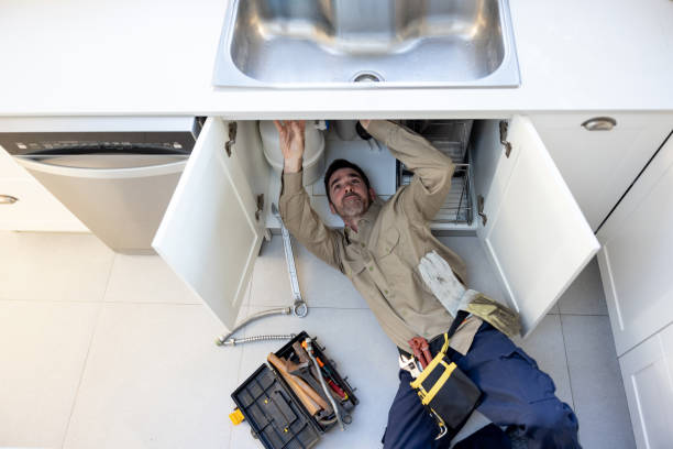 Best Emergency Plumbing Repair  in Reese, MI