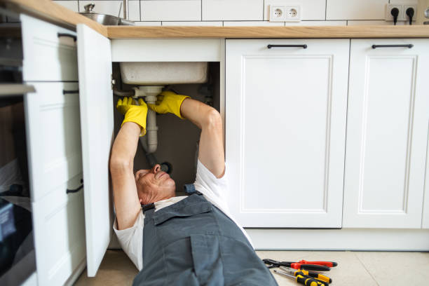 Best Same-Day Plumbing Service  in Reese, MI