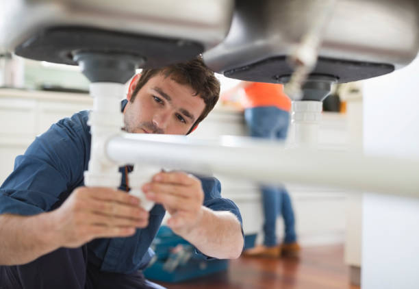 Best Best Plumbers Near Me  in Reese, MI