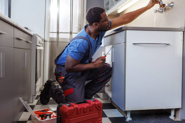 Best Residential Plumbing Services  in Reese, MI
