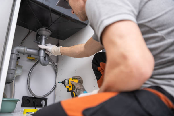 Best Emergency Plumbing Repair  in Reese, MI