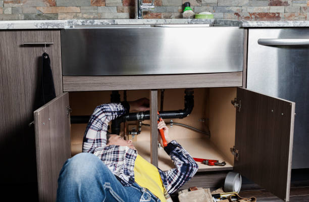 Best Drain Cleaning Services  in Reese, MI