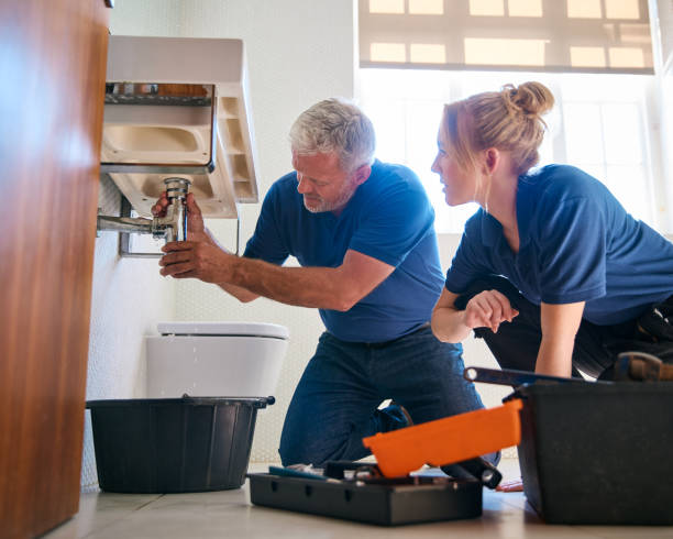 Best Plumbing Inspection Services  in Reese, MI